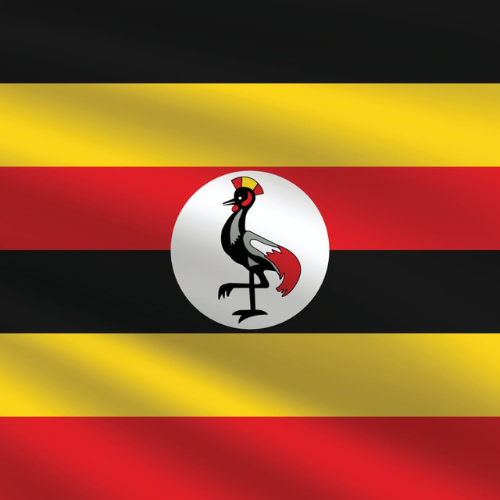 untitled design (39)