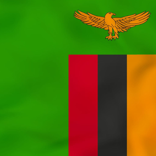 untitled design (43)