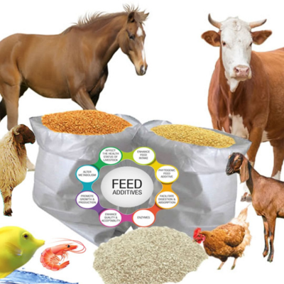 untitled design (65)